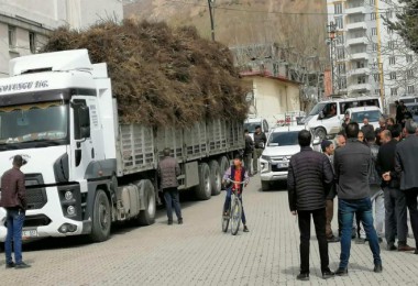 Eren Holding Tarafından Bitlis’e 100 Bin Adet Fidan Gönderildi