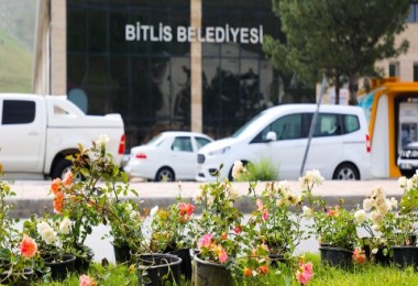 Bitlis’te Mevsimlik Çiçek Ekimine Başlandı
