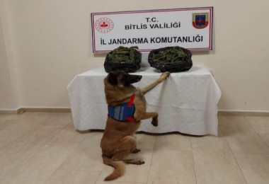 Bitlis’te Uyuşturucu Operasyonlarında 4 Şüpheli Hakkında İşlem Yapıldı