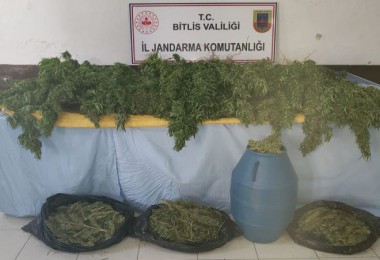 Bitlis’te 48 Kilo Kubar Esrar ve 2 Bin 345 Kök Kenevir Ele Geçirildi