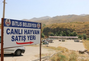 Bitlis’te Kurbanlık Pazarı Kuruldu