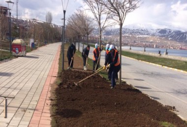 Tatvan’daki park, bahçe ve orta refüjlerde ağaç budama ve çimlendirme çalışması başlatıldı