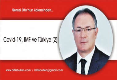 Covid-19, IMF ve Türkiye (2)