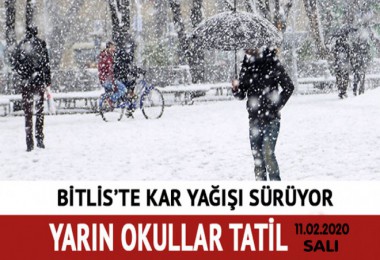 Bitlis il merkezi ve ilçelerde yarın okullar tatil
