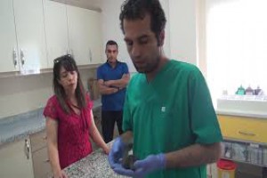 Yaralı Ebabil Kuşu Tatvan’da tedavi altına alındı - Bitlis Bülten