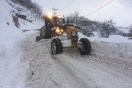 Bitlis Belediyesi'nin kar temizleme seferberliği sürüyor