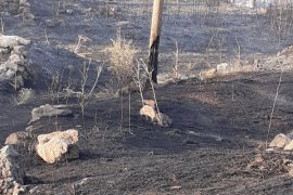 Tatvan’da 20 Dönüm Civarında Arazi Yandı