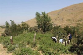 Günkırı’da tarihe ışık tutacak yeni mezarlıklar bulundu