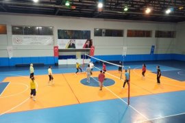 Bitlis’teki Sporcular ve Doğaseverler Ata Bebek İçin Dayanışma Çağrısında Bulundu