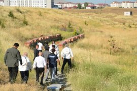 BEÜ’de Arı ve Bal Üretimi Geliştirilirken, Uluslararası Standartta Bal Analizi Yapılıyor