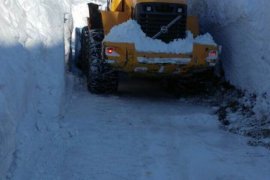 Bitlis’te kar yağışından dolayı kapanan 84 köy yolunun ulaşıma açma çalışmaları sürüyor