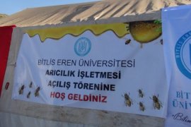 BEÜ Kampüsünde Arıcılık İşletmesi Kuruldu