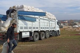 Bitlis Tarım Müdürlüğü Ekipleri Afet Bölgesindeki Çalışmalarını Sürdürüyor