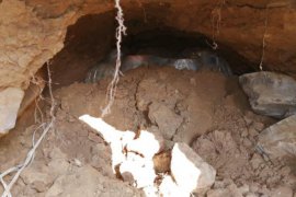 Bitlis’te Terör Örgütüne Barınacak Yer Bırakılmıyor