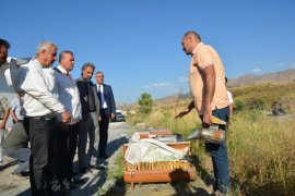 BEÜ’de Arı ve Bal Üretimi Geliştirilirken, Uluslararası Standartta Bal Analizi Yapılıyor