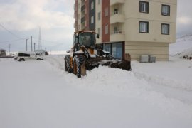 Bitlis’te Karla Mücadele Çalışmaları