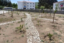 Tatvan Belediyesi Özel Çocuklar İçin Botanik Bahçe ve Spor Salonu Yaptı