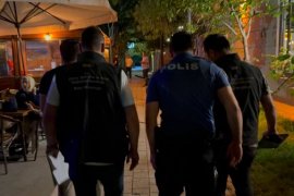Van Gölü Sahilinde Yüksek Ses ve Gürültü Kirliliğine Yönelik Denetimler Yapıldı