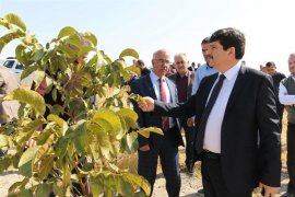Bitlis ve Yöresi Ceviz Uygulama ve Araştırma Merkezi Açıldı