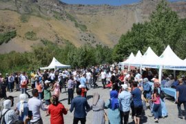 Tatvan’da ‘Nemrut Yayla Şenlikleri’ düzenlendi