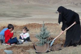 Bitlis’te fidan dikimine büyük katılım