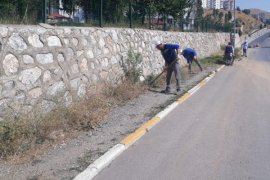 Bitlis Belediyesi Çalışanları Yabani Otları Temizliyor