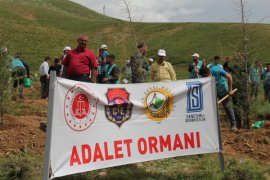 Bitlis'te Adalet Ormanı oluşturuldu