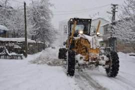 10 bin kamyon kar yerleşim alanı dışına taşındı