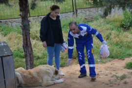 Havanseverler Bitlis Hayvan Bakım ve Rehabilitasyon Merkezi’ni ziyaret etti