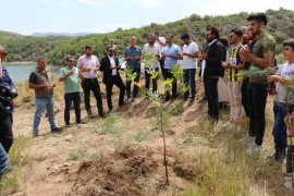 Nemrut Dağı’nda Orman Yangınlarında Hayatını Kaybedenler İçin Fidan Dikildi