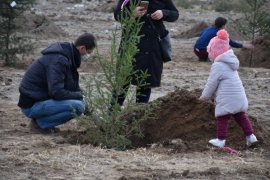 Tatvan’da 500 Adet Fidan Toprak ile Buluştu