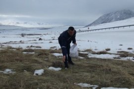 Yabani Hayvanlar ve Kuşlar İçin Doğaya Yiyecek Bırakıldı