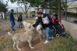 Havanseverler Bitlis Hayvan Bakım ve Rehabilitasyon Merkezi’ni ziyaret etti