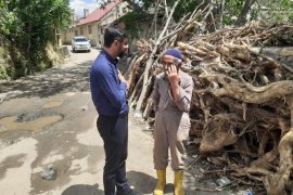 Başkan Tanğlay, Çalışmaları Yerinde İnceledi