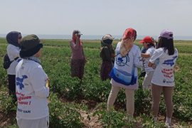 Van Gölü İçin Yürüyen Kadınlar ile Aktivistler Aydınlar Beldesi’ne Ulaştı