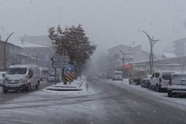 Tatvan’da kar yağışı hayatı olumsuz etkiliyor