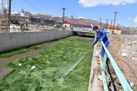 Tatvan Belediyesi larva üreme yerlerini ilaçlıyor