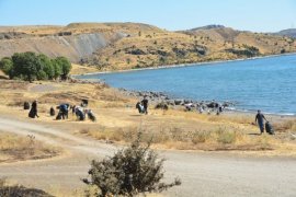 Van Gölü’nün Tatvan Sahilinde 4 Ton Çöp Toplandı