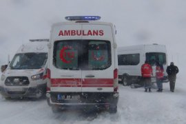 Tatvan - Hizan Yolunda Trafik kazası: 17 Yaralı