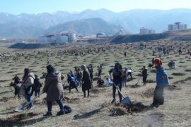 Bitlis’te fidan dikimine büyük katılım