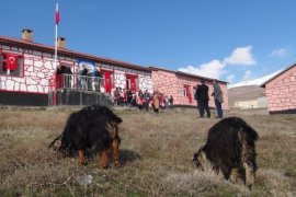 Bitlis'teki Kadınlar Köy Yaşam Merkezlerinde Meslek Öğreniyor