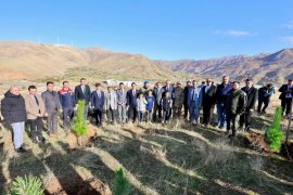 Bitlis’te 100. Yıl Adalet Hatıra Ormanı Ağaçlandırma Programı Düzenlendi