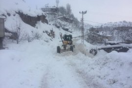 Bitlis Belediyesi'nin kar temizleme seferberliği sürüyor