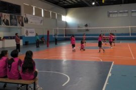 Tatvan’da Okul Sporları Voleybol Bölge Müsabakaları Başladı