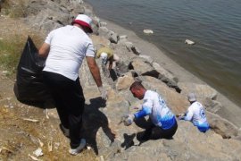 Doğaseverler ile Aktivistler Van Gölü Sahilinde Çöp Topladı
