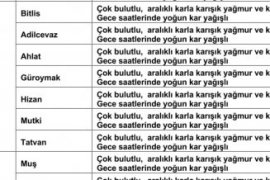 Meteoroloji' den Bitlis İl Geneli İçin Uyarı