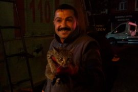 İtfaiye ekibi ve vatandaşlar seferber olup yavru kediyi kurtardı
