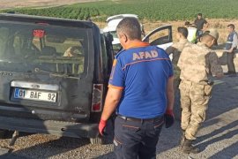 Ahlat'ta Meydana Gelen Trafik Kazasında 8 Kişi Yaralandı