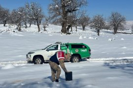 Yiyecek Bulmakta Zorlanan Yaban Hayvanlar İçin Jandarma Ekipleri Doğaya Yem Bıraktı