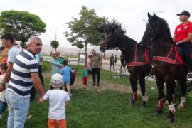 Atlı Polis Birliği Tatvan Sahilinde Devriye Görevi Gerçekleştirdi